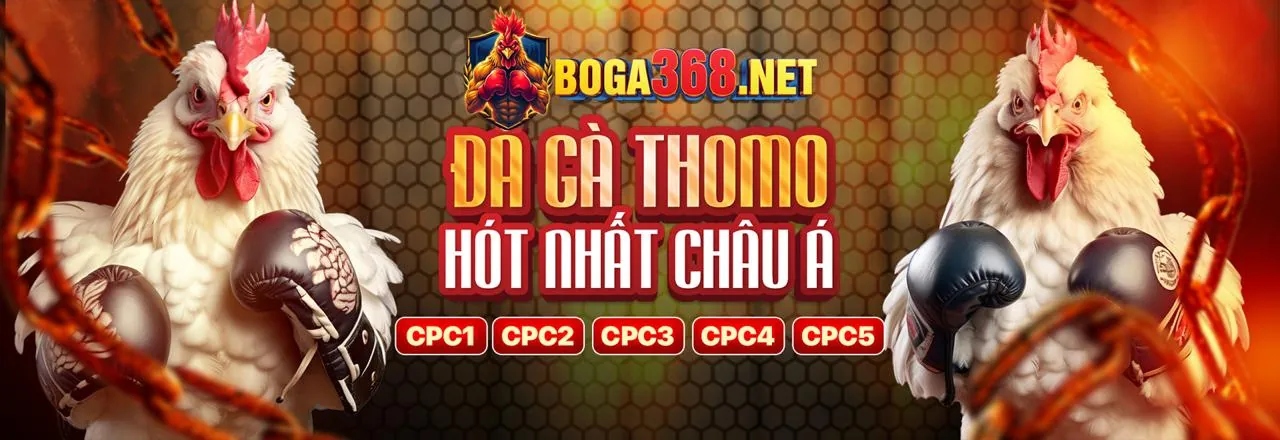 Biểu đồ huyết thống gà chọi