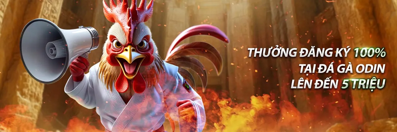 Hình ảnh kêu gọi hành động đăng ký đá gà Thomo 67